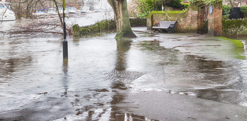 Year of the urban flood