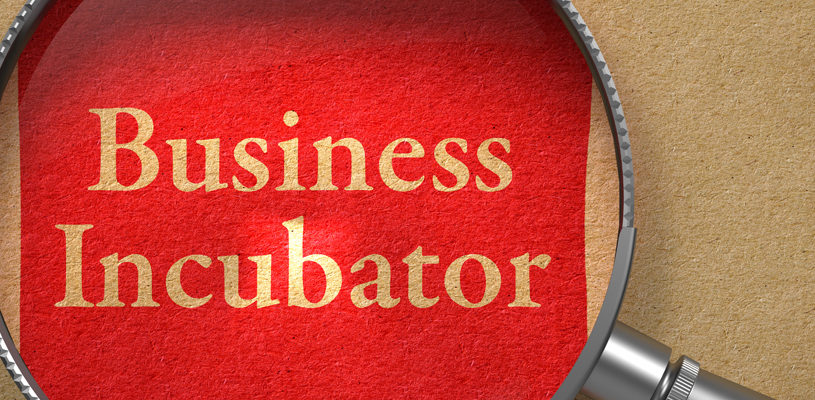 Business incubation