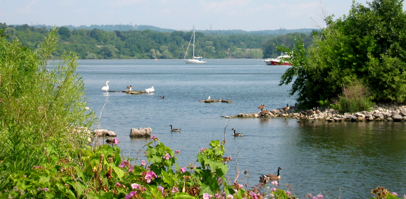 Keeping Canada’s shorelines safe